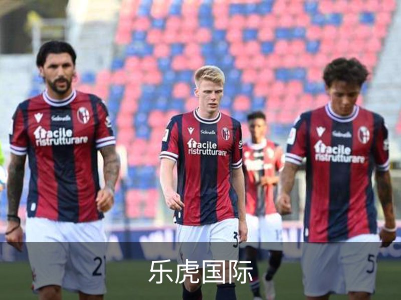 乐虎国际简介